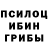 Галлюциногенные грибы Psilocybine cubensis EJLNUR HAMZA