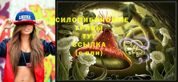 ECSTASY Волосово