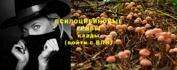 ECSTASY Волосово