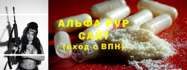 шишки Сясьстрой