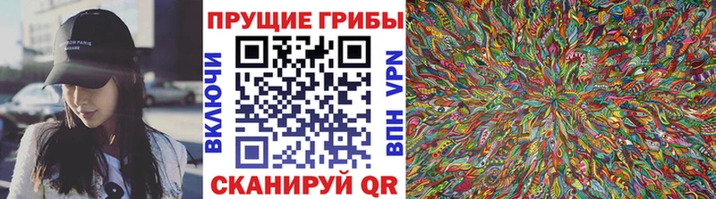Галлюциногенные грибы Psilocybine cubensis  Плёс 